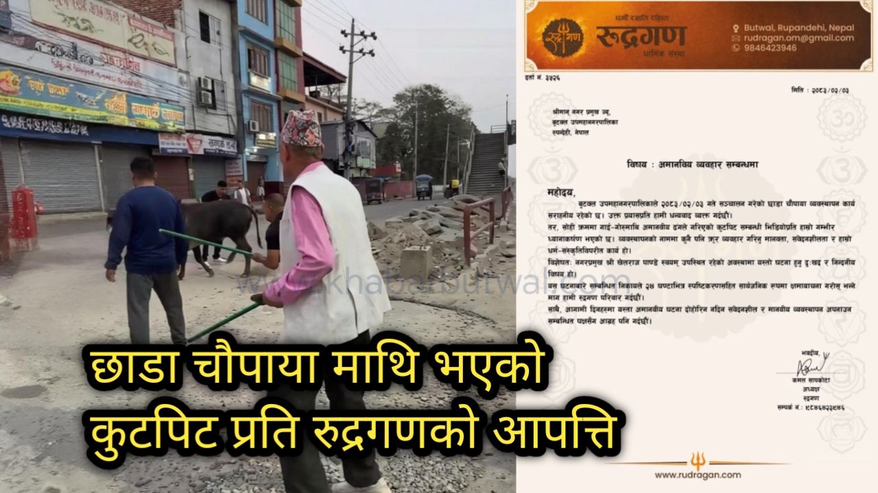 बुटवलमा छाडा चौपायामाथि कुटपिट गरिएको भन्दै ‘रुद्रगण’ को आपत्ति